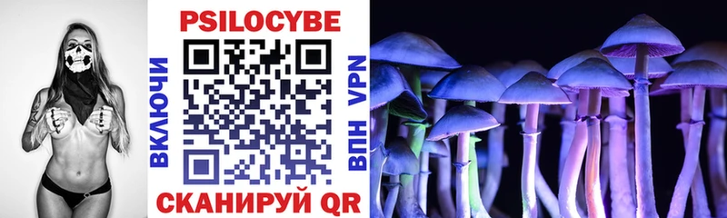 Галлюциногенные грибы Psilocybe Липецк