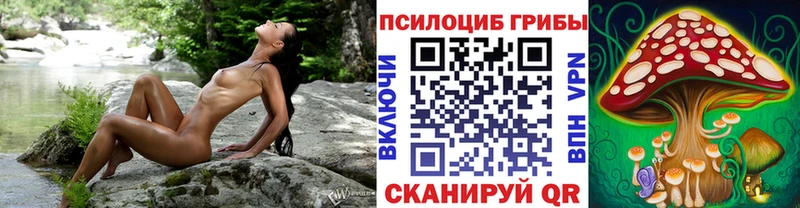 Псилоцибиновые грибы мицелий  Липецк 