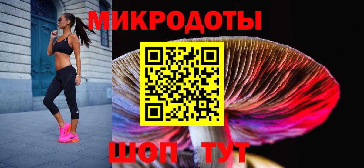 Псилоцибиновые грибы Cubensis Липецк